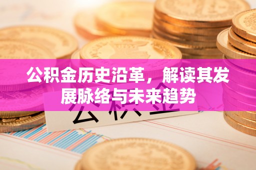 梁子湖公积金历史沿革，解读其发展脉络与未来趋势