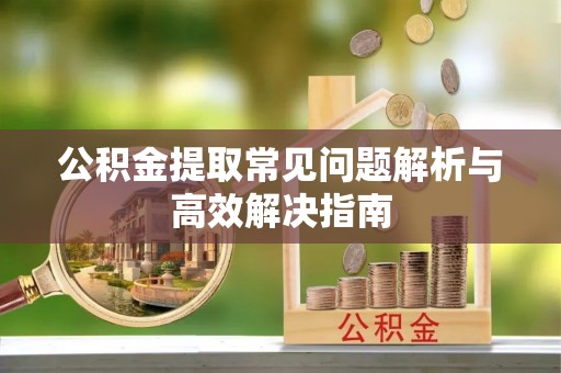梁子湖公积金提取常见问题解析与高效解决指南