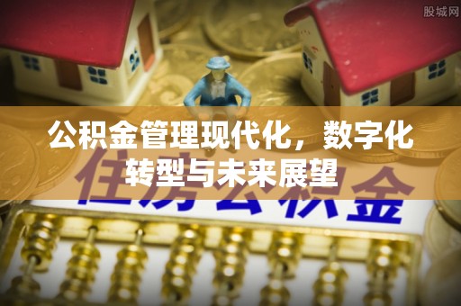 梁子湖公积金管理现代化，数字化转型与未来展望