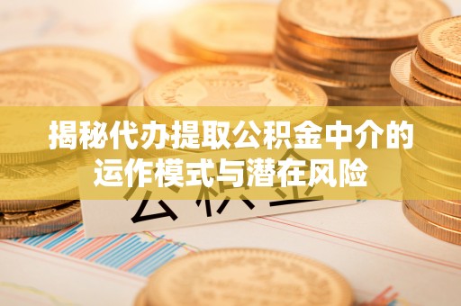 梁子湖揭秘代办提取公积金中介的运作模式与潜在风险