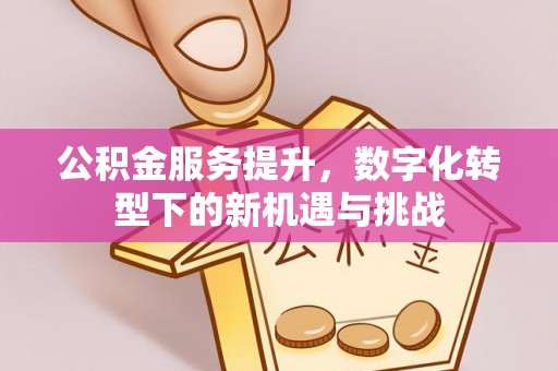 梁子湖公积金服务提升，数字化转型下的新机遇与挑战