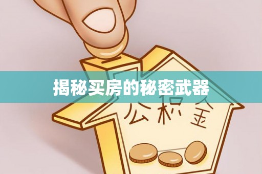 梁子湖揭秘买房的秘密武器