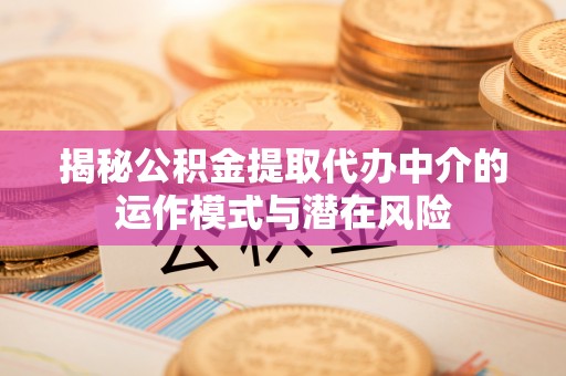梁子湖揭秘公积金提取代办中介的运作模式与潜在风险