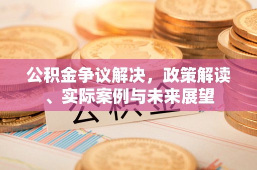 梁子湖公积金争议解决，政策解读、实际案例与未来展望