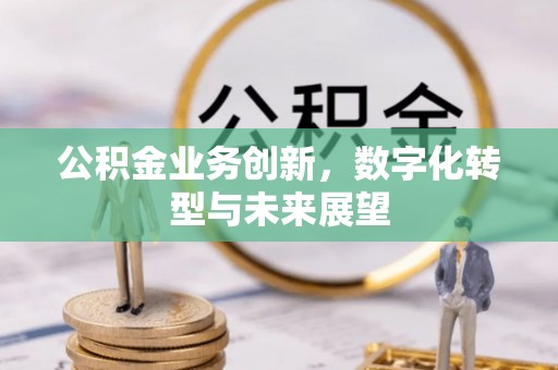 梁子湖公积金业务创新，数字化转型与未来展望