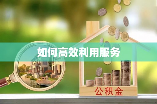 梁子湖如何高效利用服务