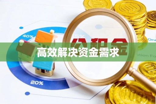 梁子湖高效解决资金需求