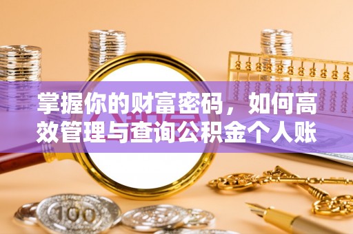 梁子湖掌握你的财富密码，如何高效管理与查询公积金个人账户信息