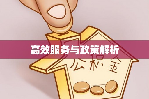 梁子湖高效服务与政策解析