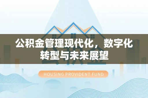 梁子湖公积金管理现代化，数字化转型与未来展望