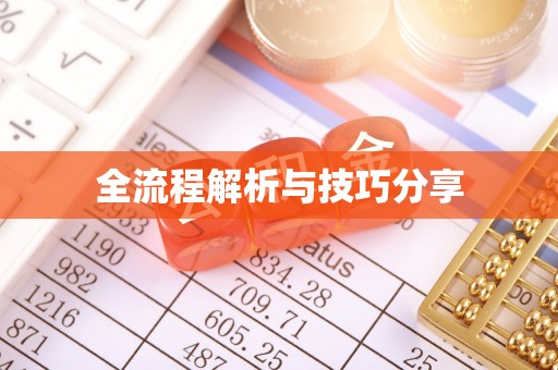 梁子湖全流程解析与技巧分享